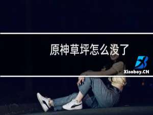 原神草坪怎么没了