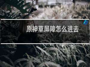 原神草屏障怎么进去