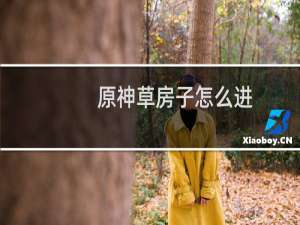 原神草房子怎么进