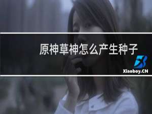 原神草神怎么产生种子