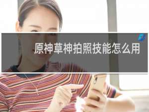 原神草神拍照技能怎么用