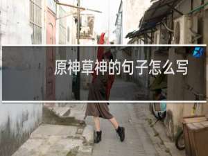 原神草神的句子怎么写