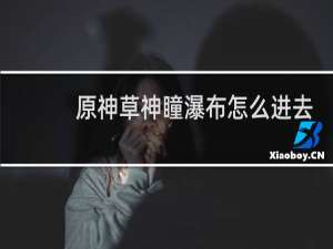 原神草神瞳瀑布怎么进去