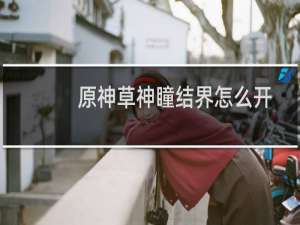 原神草神瞳结界怎么开