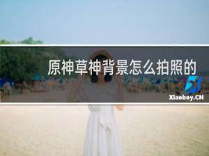 原神草神背景怎么拍照的
