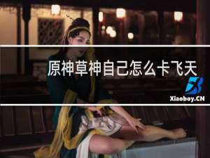原神草神自己怎么卡飞天