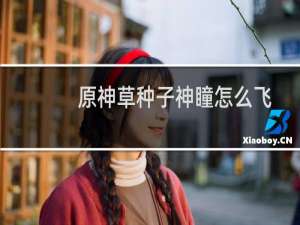 原神草种子神瞳怎么飞