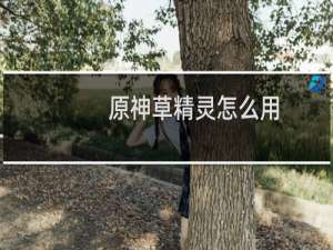 原神草精灵怎么用