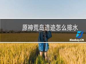 原神荒岛遗迹怎么排水