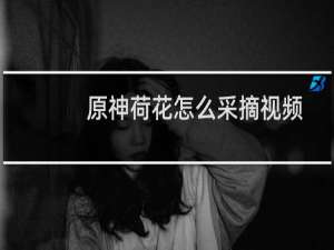 原神荷花怎么采摘视频