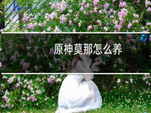 原神莫那怎么养