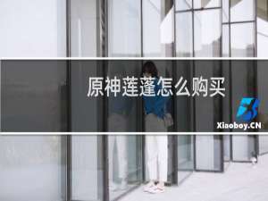 原神莲蓬怎么购买