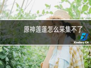 原神莲蓬怎么采集不了