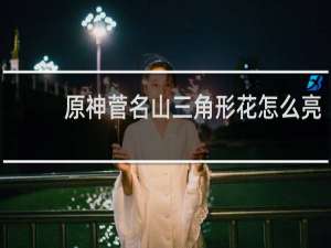 原神菅名山三角形花怎么亮