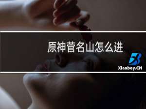 原神菅名山怎么进