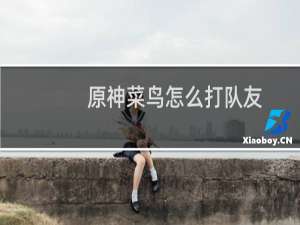 原神菜鸟怎么打队友