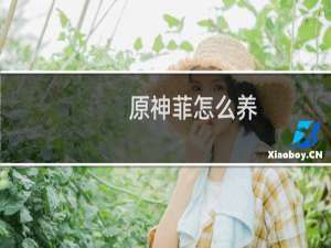 原神菲怎么养