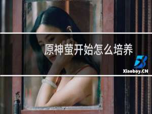 原神萤开始怎么培养