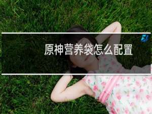 原神营养袋怎么配置