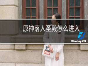 原神落入圣殿怎么进入