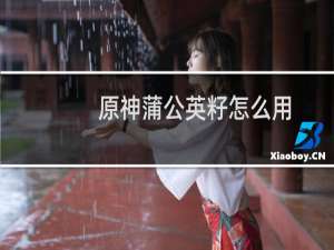 原神蒲公英籽怎么用