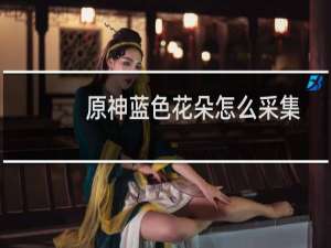 原神蓝色花朵怎么采集
