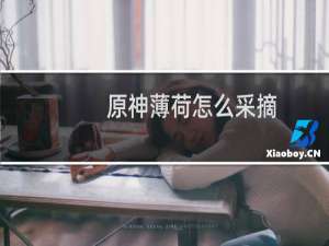 原神薄荷怎么采摘