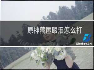 原神藏匿眼泪怎么打