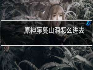 原神藤蔓山洞怎么进去