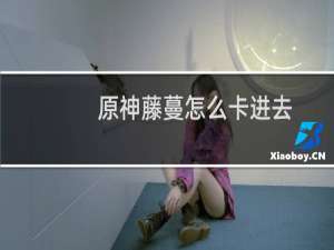 原神藤蔓怎么卡进去