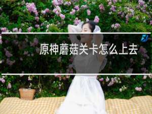 原神蘑菇关卡怎么上去