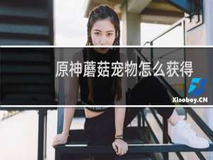 原神蘑菇宠物怎么获得