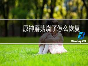 原神蘑菇烧了怎么恢复