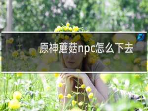 原神蘑菇npc怎么下去