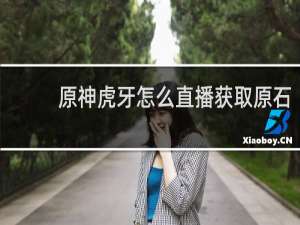 原神虎牙怎么直播获取原石