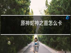 原神蛇神之首怎么卡