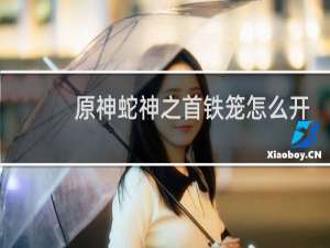 原神蛇神之首铁笼怎么开