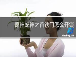 原神蛇神之首铁门怎么开锁