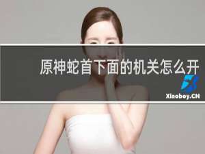 原神蛇首下面的机关怎么开