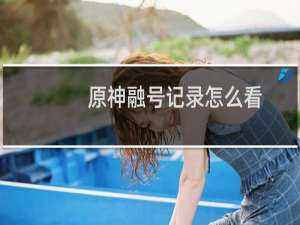 原神融号记录怎么看