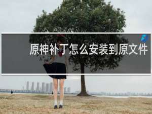 原神补丁怎么安装到原文件