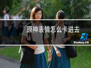 原神表情怎么卡进去