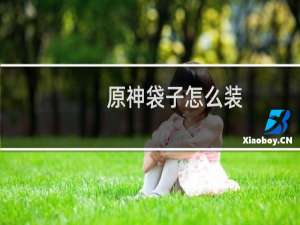 原神袋子怎么装