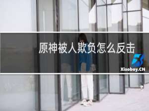 原神被人欺负怎么反击