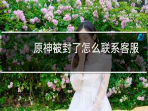 原神被封了怎么联系客服