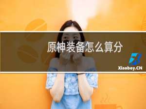 原神装备怎么算分