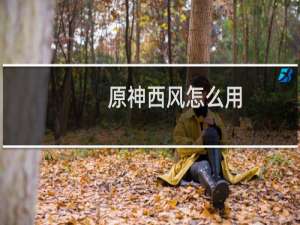 原神西风怎么用