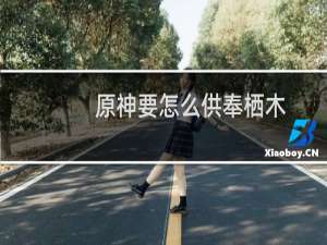 原神要怎么供奉栖木