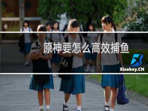 原神要怎么高效捕鱼