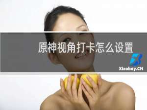 原神视角打卡怎么设置